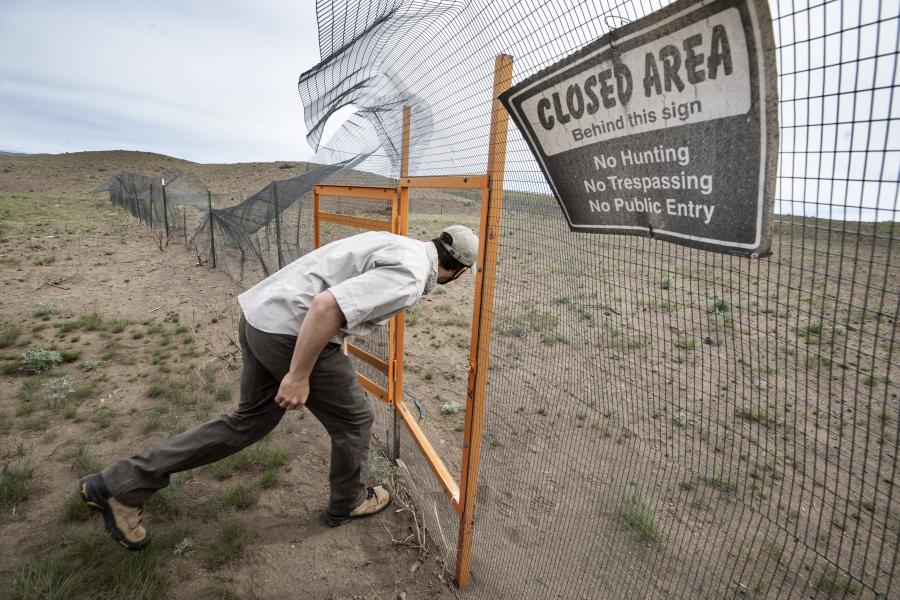 Jon Gallie, pygmy rabbit biologist for the Washington Department of Fish and Wildlife, enters the rabbit breeding enclosure in April that was destroyed along with all the rabbits in a 2020 wildfire, setting back the breeding program for years.