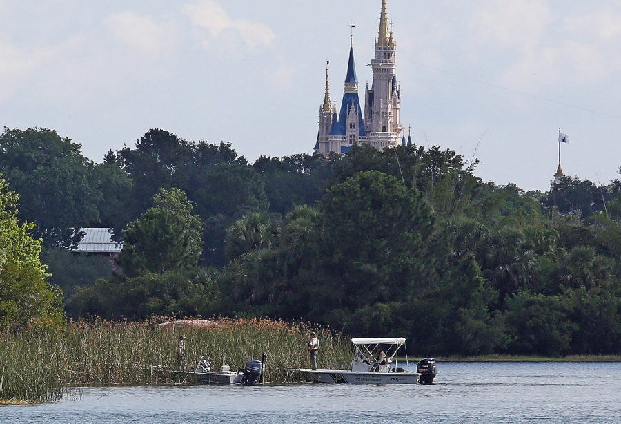 In the shadow of the Magic Kingdom, Florida Fish and Wildlife Conservation officers search for a young boy June 15, 2016, after the boy was grabbed by an alligator at Grand Floridian Resort at Disney World near Lake Buena Vista, Fla. Since the incident, around 250 alligators have been removed from Disney properties.