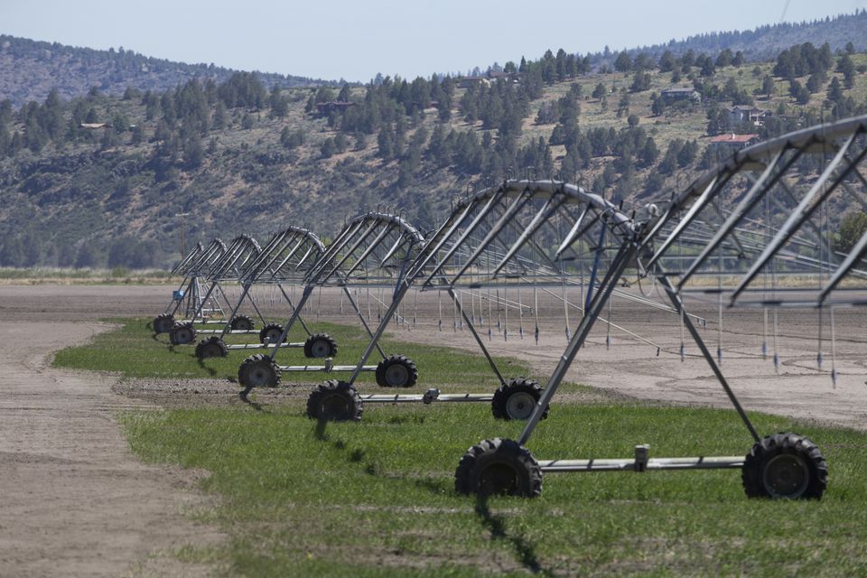 Some green growth appears below irrigation equipment in an otherwise dry field in Klamath Falls, OR on Tues., June 1, 2021.