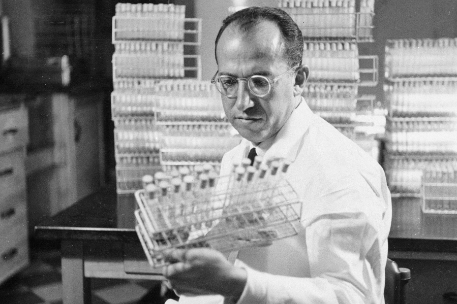 FILE - In this Oct. 7, 1954, file photo, Dr. Jonas Salk, developer of the polio vaccine, holds a rack of test tubes in his lab in Pittsburgh. Tens of millions of today's older Americans lived through the polio epidemic, their childhood summers dominated by concern about the virus. Some parents banned their kids from public swimming pools and neighborhood playgrounds and avoided large gatherings. Some of those from the polio era are sharing their memories with today's youngsters as a lesson of hope for the battle against COVID-19. Soon after polio vaccines became widely available, U.S. cases and death tolls plummeted to hundreds a year, then dozens in the 1960s, and to U.S. eradication in 1979. A handful of cases since then have arrived in visitors from overseas.
