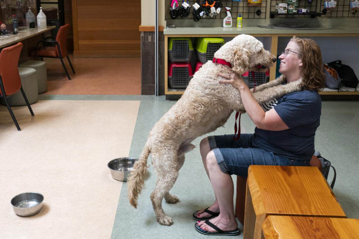 Jill Levesque greets Bo, her newly adopted goldendoodle, on Saturday during the first weekend of reopening to the public at the Humane Society for Southwest Washington in Vancouver.