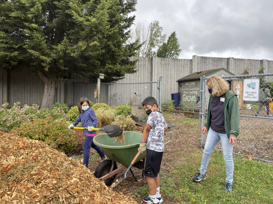 HAZEL DELL: Master Gardener Denise Jones helped Pearl Harvet and Axel Reteguin-Vargas shovel bark into the wheelbarrow to spread on the garden paths to keep weeds under control.