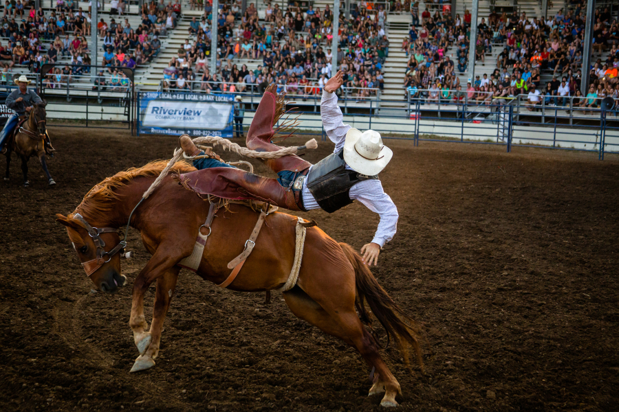 "Hell on Hooves" Rough Stock Rodeo comes to the Clark County Event Center Aug. 7 as part of the Family Fun Series filling in for the canceled Clark County Fair.