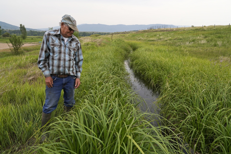 Rancher Jim Stanko checks the water level of an irrigation ditch, Tuesday, July 13, 2021, on his ranch near Steamboat Springs, Colo. Stanko said that due to drought conditions this year, if he can't harvest enough hay to feed his cattle, he may need to sell off some of his herd.