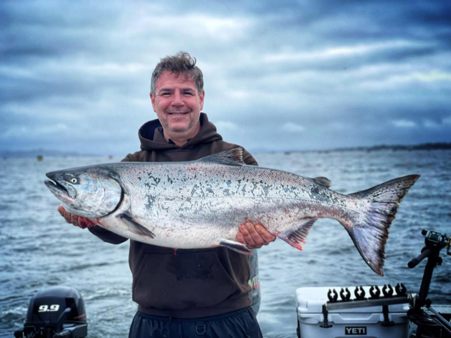 The Chinook being caught in this year's Buoy 10 fishery have been running larger than in recent years. This heavy Chinook was taken recently in guide Matt Eleazer's boat.