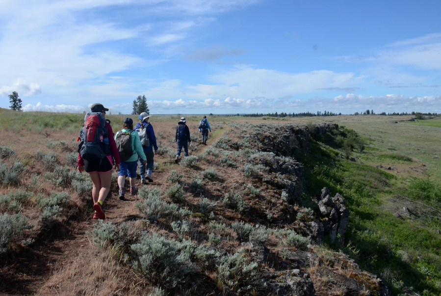 Volunteers who helped build trails over three years at the U.S. Bureau of Land Management's Fishtrap Lake Recreation Area, southwest of Spokane, enjoy the fruits of their labor while hiking the north loop in May 2019.
