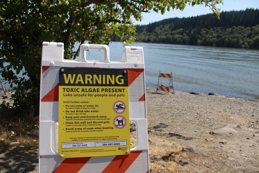 A toxic-algae warning sign is posted next to Lacamas Lake in Camas on July 20, 2020.