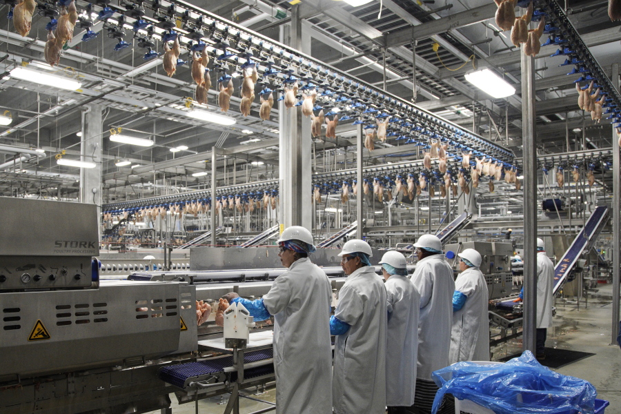 FILE - In this Dec. 12, 2019, file photo workers process chickens at the Lincoln Premium Poultry plant, Costco Wholesale's dedicated poultry supplier, in Fremont, Neb. Rural America continued to lose population in the latest U.S. Census numbers, highlighting an already severe worker shortage in those areas and prompting calls from farm and ranching groups for immigration reform to help alleviate the problem.