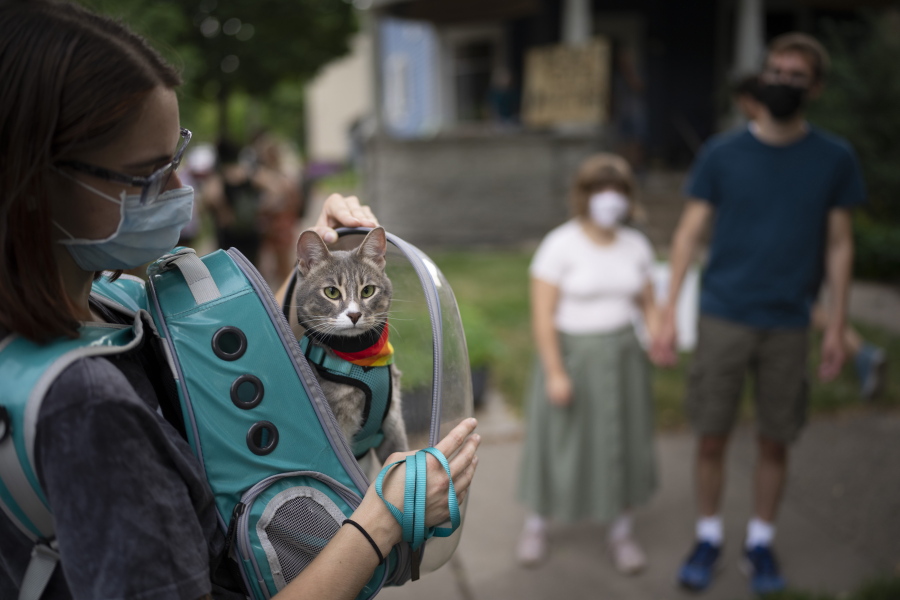 Stanley, in a wearable cat carrier, tags along on the Wedge Cat Tour with his owner, Courtney Burgess, on Aug. 4 in the Wedge neighborhood of Minneapolis.
