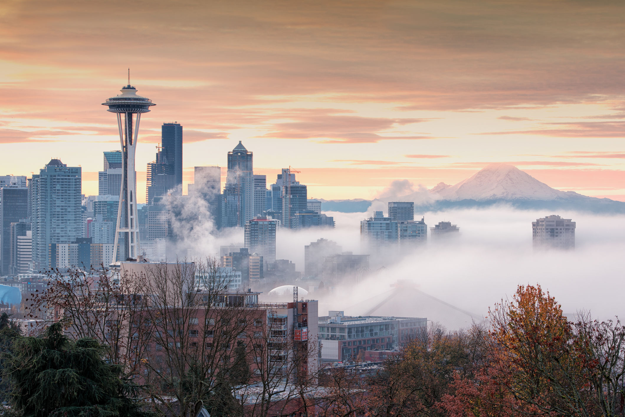 The city of Seattle saw more than 100,000 new residents between 2010 and 2020, according to the most recent Census numbers.