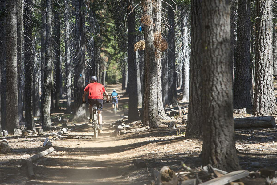 A pair of mountain bikers ride along the Tumalo Creek Trail near Skyliner Sno-park.
