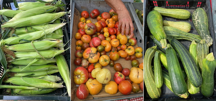 From left, corn, tomatoes and zucchini displayed at a farmers market in Milford, Conn.
