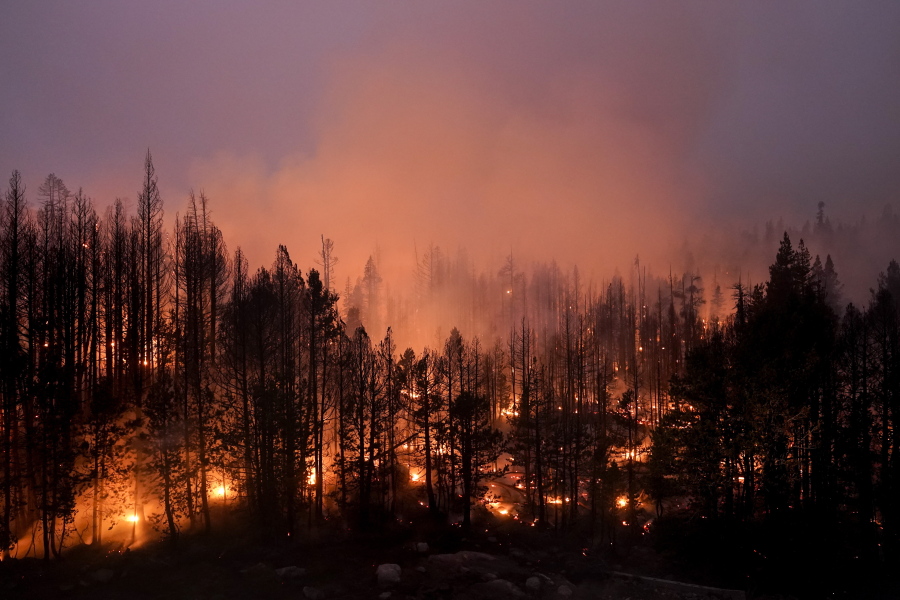 Trees scorched by the Caldor Fire smolder in Eldorado National Forest, Calif., Friday, Sept. 3, 2021. (AP Photo/Jae C.