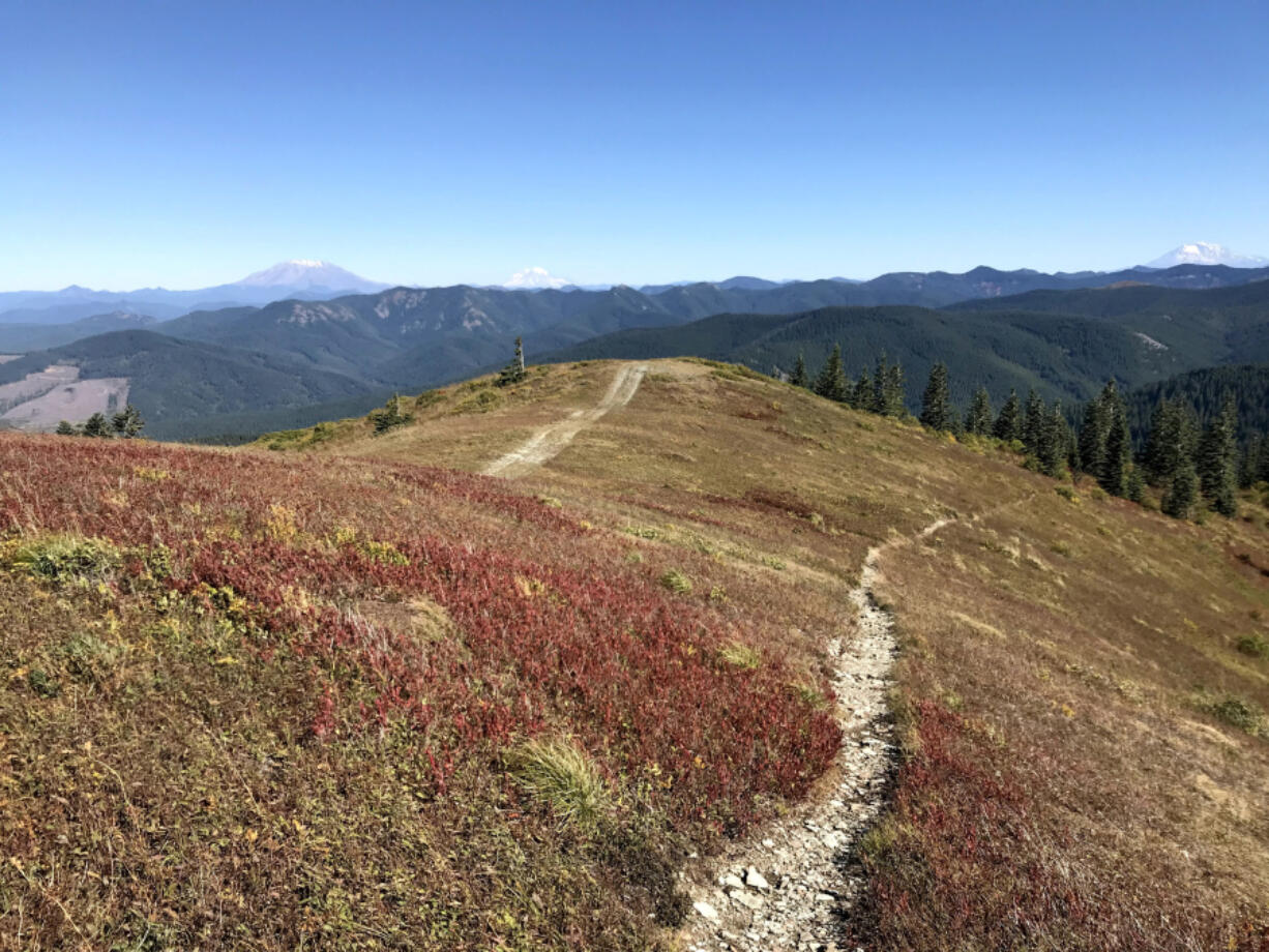 The colors on Silver Star Mountain are glowing now, but it's a bit of a hike to get there.