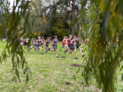 Junior varsity cross country runners begin their race Wednesday, Oct. 20, 2021, at the 4A Greater St. Helens League Cross Country District Meet at Lewisville Regional Park in Battle Ground.