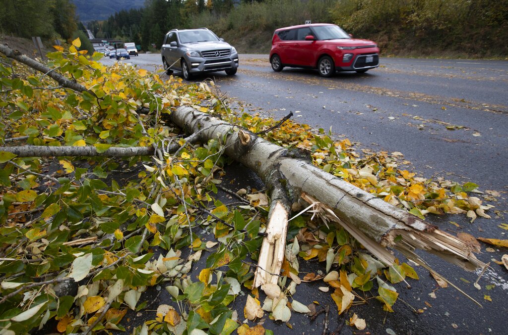 A broken tree rests on the side of the road Sunday, Oct. 24, 2021, near Snoqualmie, Wash., as a series of storms moved through the area.