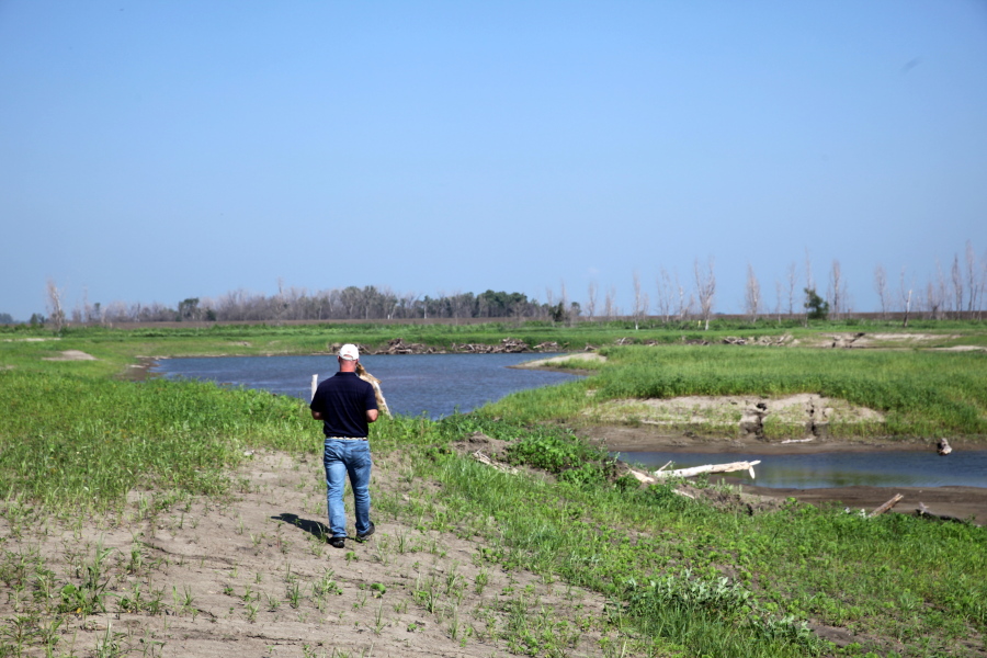 Todd Bridges, a senior research scientist for the U.S. Army Corps of Engineers, walks along a new wetland area that had been flooded in 2019 a few miles south of Rock Port, Missouri, on Monday, July 26, 2021. The wetland is part of the Corps' Engineering with Nature initiative, a program that uses engineering to create and restore natural habitats in a way that's cost efficient and environmentally friendly.