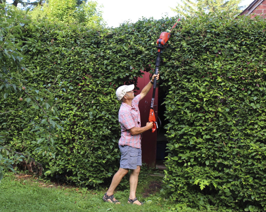 A tall hedge being pruned in New Paltz, NY.
