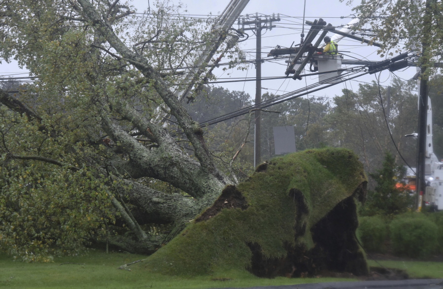 A large tree uprooted onto Rt. 132 bringing down a massive array of power onto the roadway, on Wednesday, Oct. 27, 2021, in Sandwich, Mass. Utility crews had to wait for the winds to subside before they could go up in bucket trucks to repair the damage.