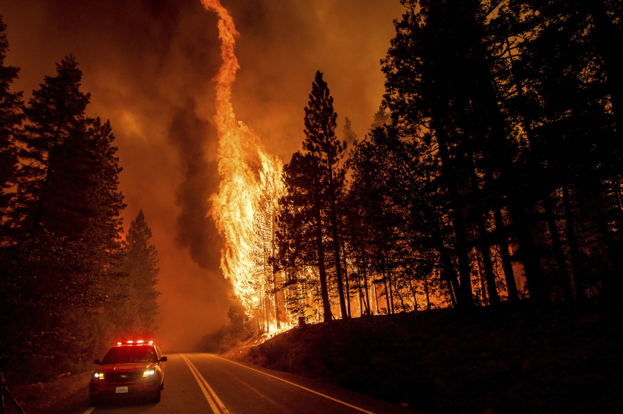 FILE - In this Aug. 3, 2021, file photo, flames leap from trees as the Dixie Fire jumps Highway 89 north of Greenville in Plumas County, Calif. Each year thousands of acres of dense timber are thinned near remote communities, all designed to slow the spread of massive wildfires. While most scientific studies find such forest management is a valuable tool, environmental advocates say data from recent gigantic wildfires support their long-running assertion that efforts to slow wildfires have instead accelerated their spread.
