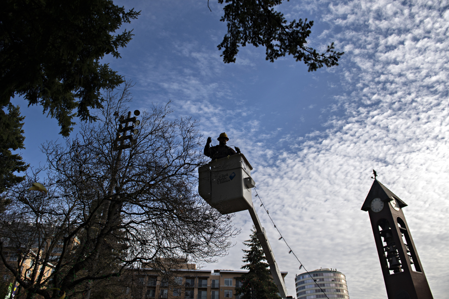 Bryon Ledin of Clark Public Utilities lends a hand as hundreds of holiday lights are hung in the trees Wednesday morning at Esther Short Park in downtown Vancouver. Due to COVID-19-related mandates and staffing impacts, the in-person event was canceled, but the city and the Vancouver Rotary Club are creating a video set to broadcast on CVTV that will kick off the community tree-lighting.