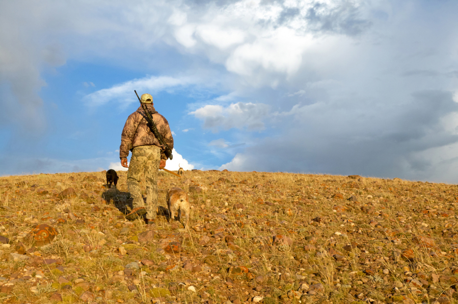 Hunting can pose some dangers to those who are not fully prepared for the escape.