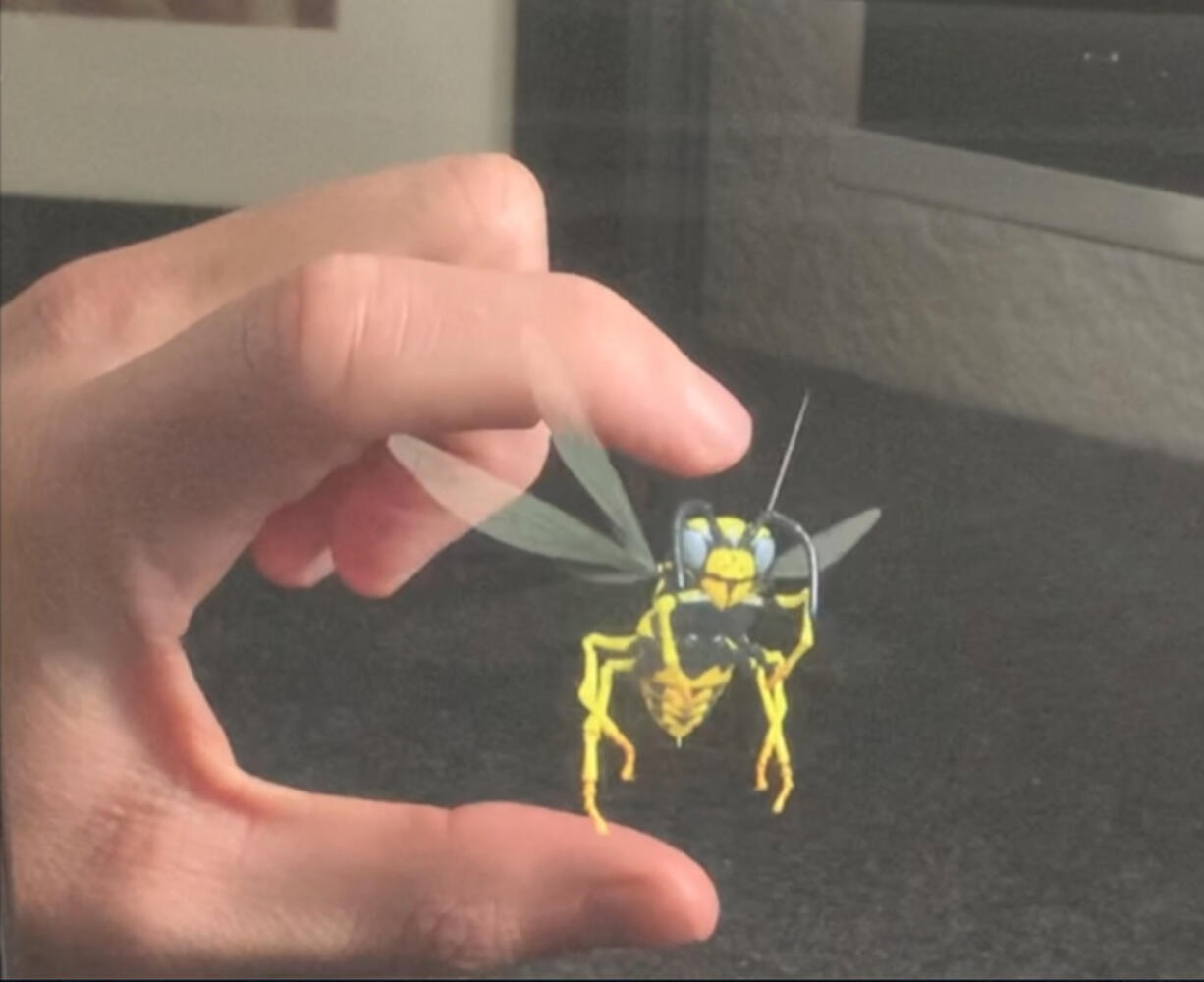 IKIN???s hologram technology displays a wasp.
