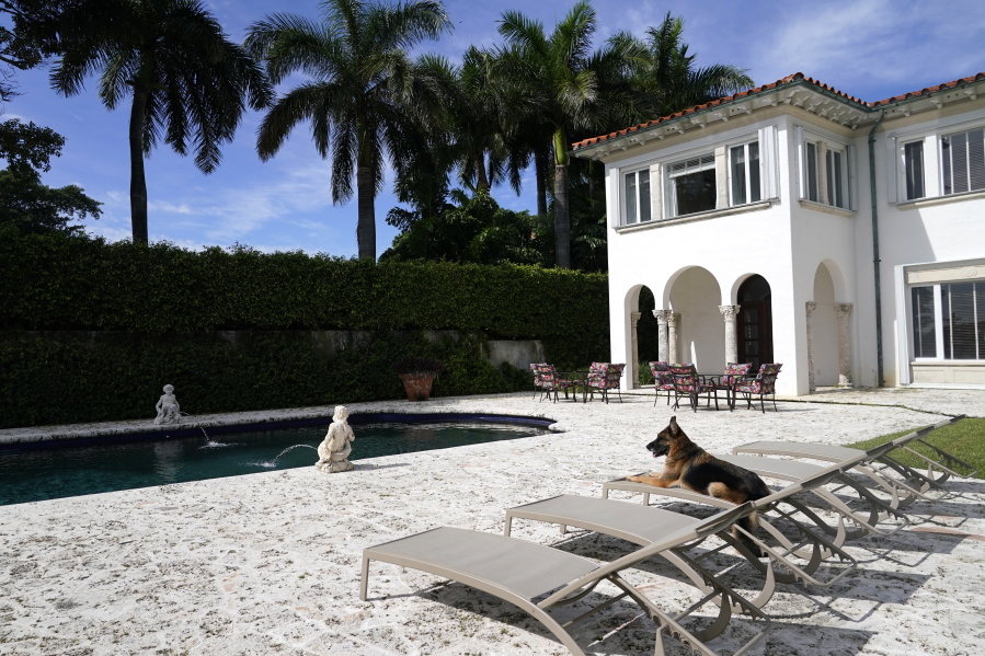 German Shepherd Gunther VI sits by the pool at a house formally owned by pop star Madonna, Monday, Nov. 15, 2021, in Miami. Gunther VI inherited his vast fortune, including the 9-bedroom waterfront home once owned by the Material Girl from his grandfather Gunther IV. The estate, purchased 20 years ago from the pop star, was listed for sale Wednesday.