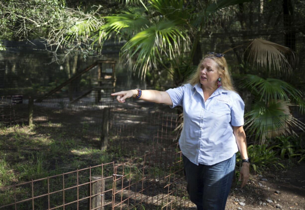 FILE - In this July 20, 2017, file photo, Carole Baskin, founder of Big Cat Rescue, walks the property near Tampa, Fla.  A detective in Florida investigating the disappearance of the former husband of Baskin said Thursday, Nov.