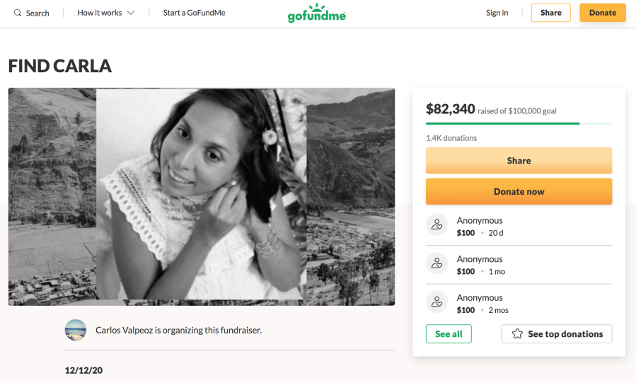 A screenshot of a GoFundMe site set up for Carla Valpeoz, a Detroit woman who went missing three years ago in Peru.
