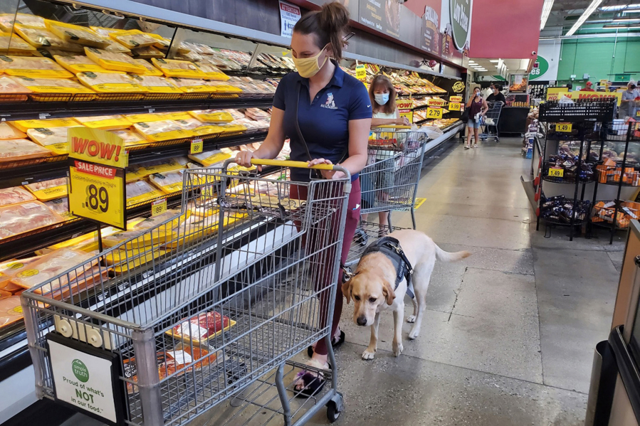 Danyelle Clark-Gutierrez and her service dog, Lisa, shop for food at a grocery store. Clark-Gutierrez got the yellow Labrador retriever to help her cope with post-traumatic stress disorder after she experienced military sexual trauma while serving in the Air Force.