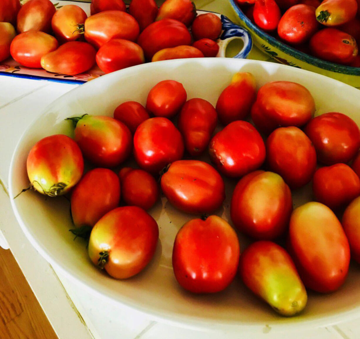 Fresh plum tomatoes from the summer garden should not be refrigerated; they should be used as soon as possible to make a marinara sauce.
