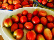 Fresh plum tomatoes from the summer garden should not be refrigerated; they should be used as soon as possible to make a marinara sauce.