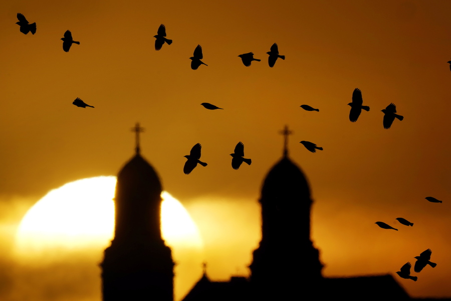 A flock of birds fly past a Catholic church as the sun rises Jan. 1 in Damar, Kan. For Christian birdwatchers -- or to use a phrase coined by theologian John Stott, "ornitheologists" -- birding is a kind of worship.