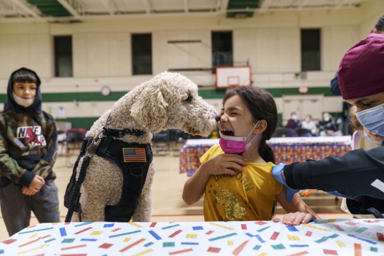 Leanna Arcila, 7, is licked by Watson, a therapy dog with the Pawtucket police department, as she receives her COVID-19 vaccination from Dr. Eugenio Fernandez at Nathanael Greene Elementary School in Pawtucket, R.I., Tuesday, Dec. 7, 2021. Even as the U.S. reaches a COVID-19 milestone of roughly 200 million fully-vaccinated people, infections and hospitalizations are spiking, including in highly-vaccinated pockets of the country like New England.