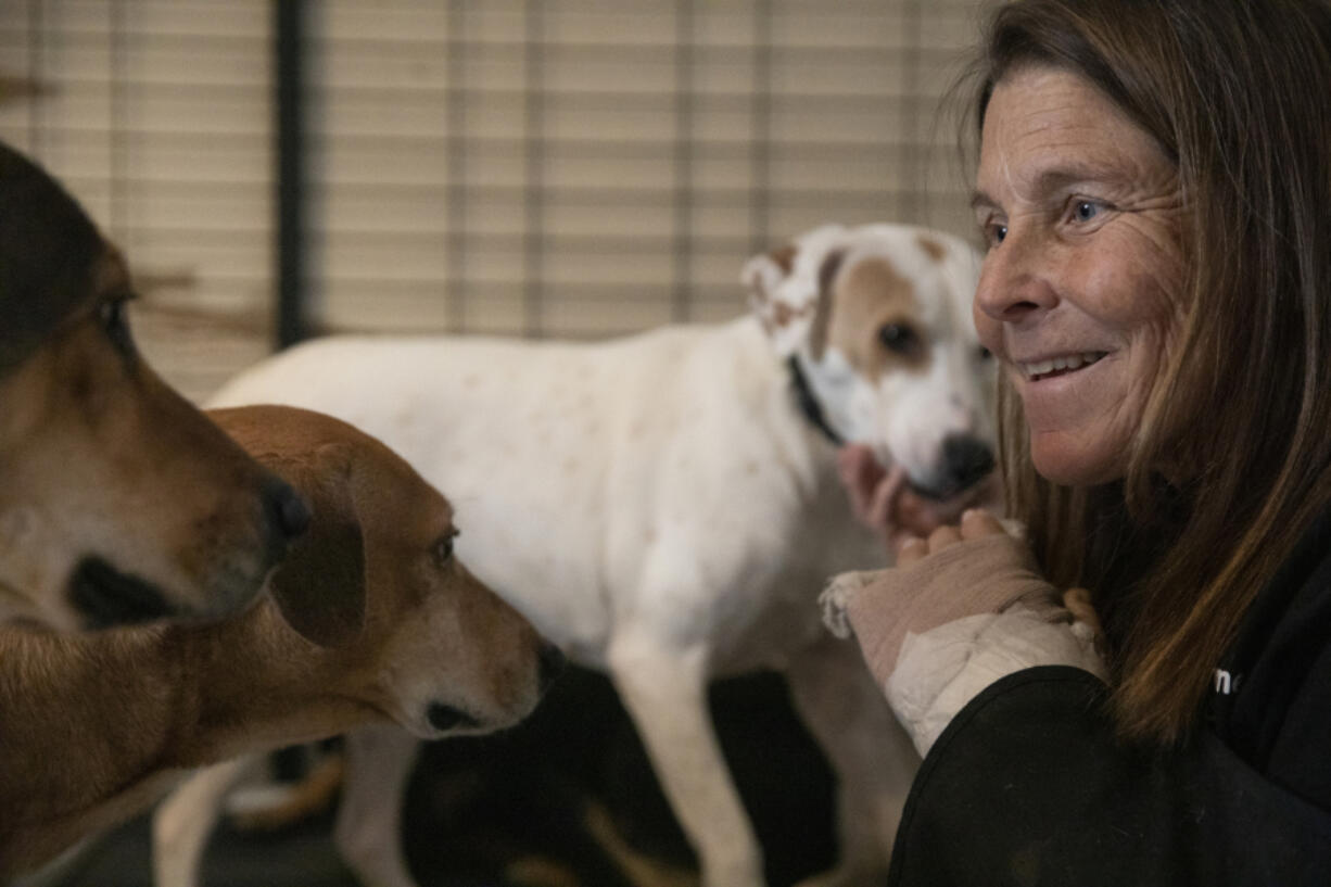 Babs Fry pets dogs in a room that's meant for socializing Jan. 5 in Jamul, Calif. She helps people find their runaway dogs after experiencing her own pet running away. Fry has launched a nonprofit called A Way Home For Dogs.