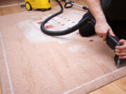 Professional carpet cleaners bring specialized tools and expertise to the job.