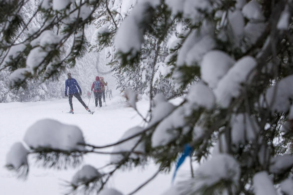 Snow falls on cross-country skiers at Virginia Meissner Sno-park.
