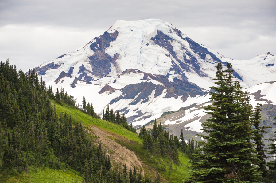 A view of Mount Baker National Forest in Washington.