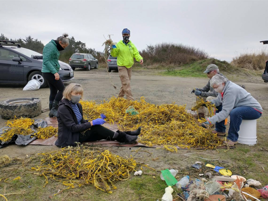 Volunteers collected almost 17,000 yellow ropes on Jan. 16, 2021, on beaches between Westport and Tokeland.
