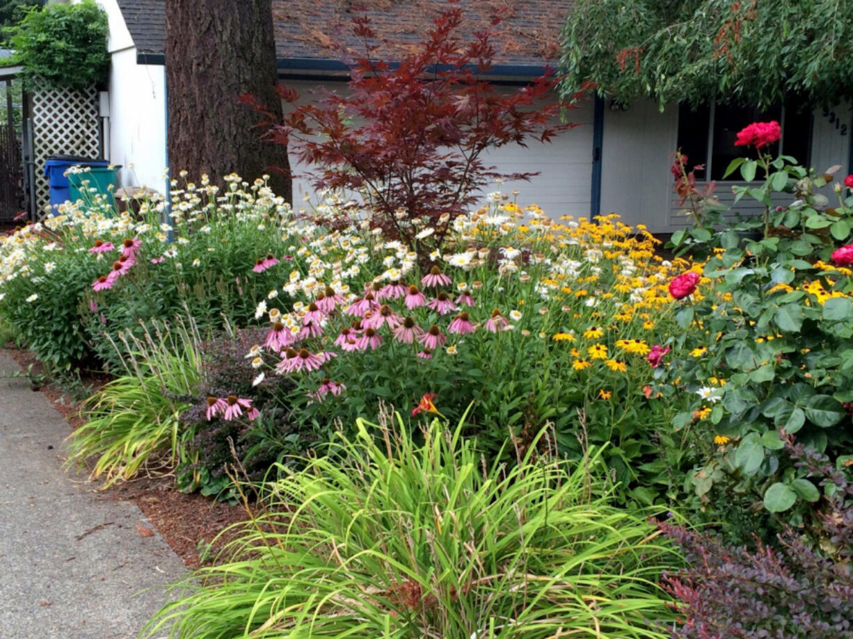 Here's an example of a small, careful, ornamental meadowscape featuring lots of wildflowers in Beth Goodnight's neighborhood in Sandpoint, Idaho.