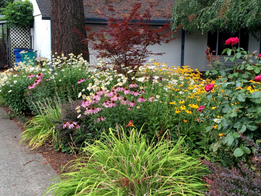 Here's an example of a small, careful, ornamental meadowscape featuring lots of wildflowers in Beth Goodnight's neighborhood in Sandpoint, Idaho.