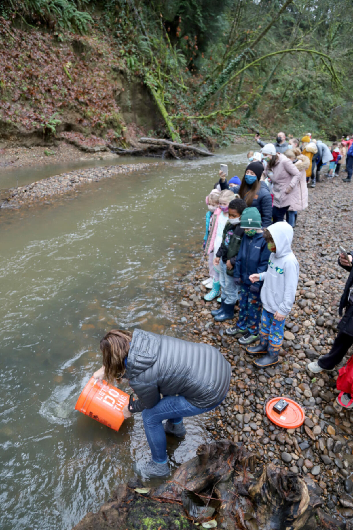 Union Ridge Elementary students gather Gee Creek to release the young salmon they raised in their classroom tank.