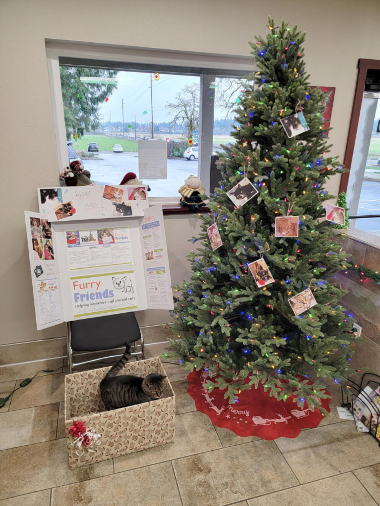 Several businesses hosted special Giving Trees during the month of December to help support cats and kittens in local shelters as part of Furry Friends' annual Giving Tree charity event.