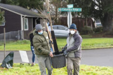 Friends of Trees planting day in central Vancouver news photo gallery
