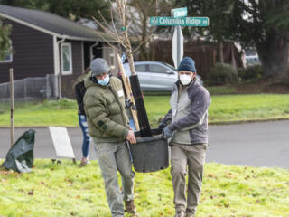 Friends of Trees planting day in central Vancouver