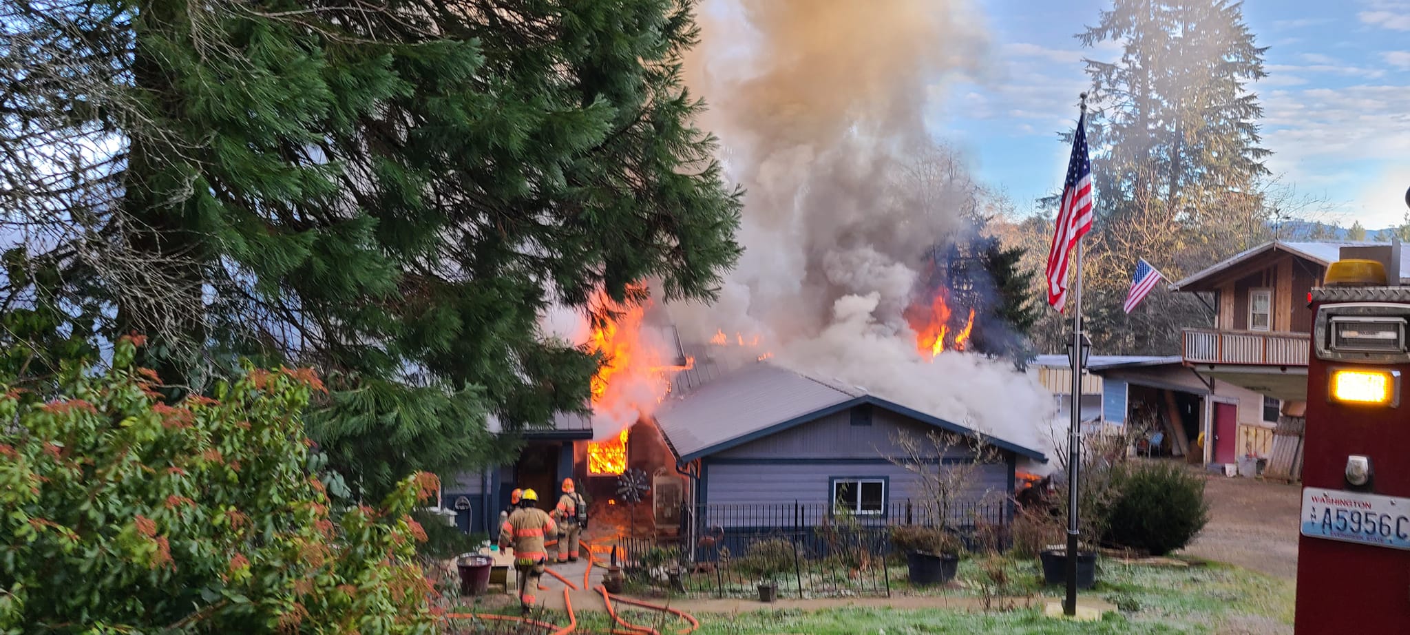 A fire this morning in Amboy killed the house's owner, two dogs and a number of exotic birds.
