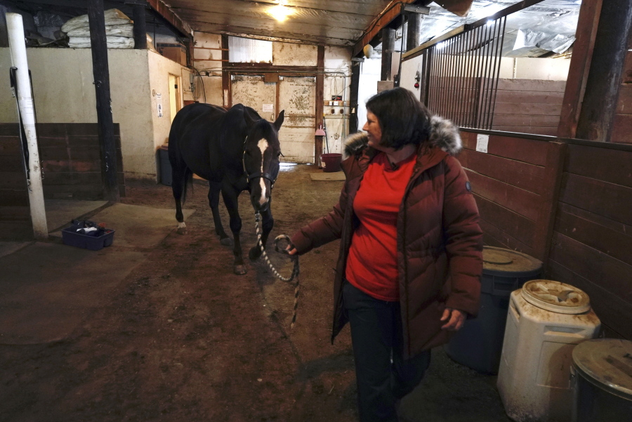 Lisa Young walks her horse, Foxy, Wednesday, Jan. 5, 2022, in Golden, Colo. She lost her home in the grass fires that hit Boulder County last week, and likely lost her two cats as well. Taking care of her horse gives her some semblance of normalcy, she said.