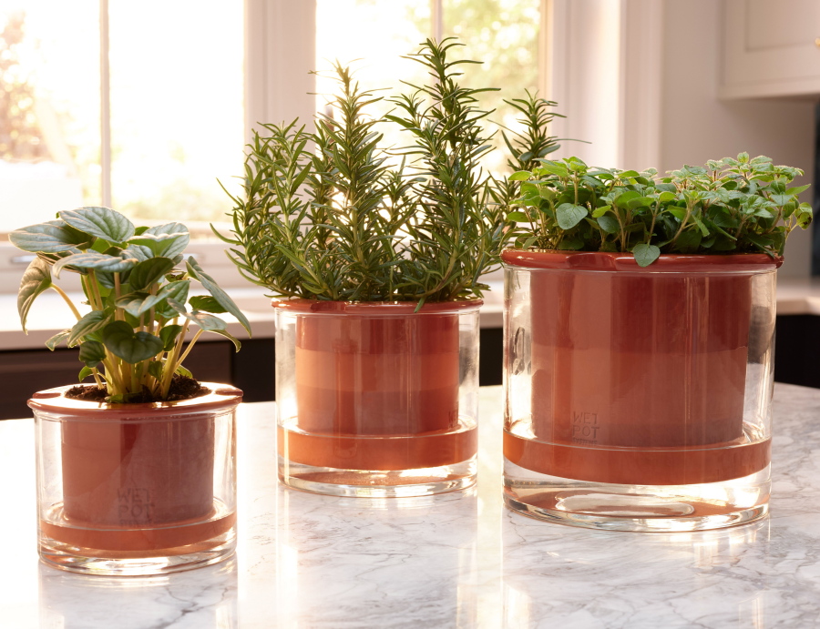 Swedish company Wetpot's self-watering pot that makes sure you don't over- or under-water your plant.