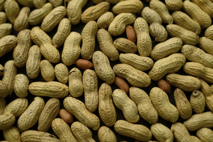 FILE - This Feb. 20, 2015 file photo shows an arrangement of peanuts in New York. According to a study published in the journal Lancet on Thursday, Jan. 20, 2022, young children might be able to overcome their peanut allergies if treated at an early enough age.